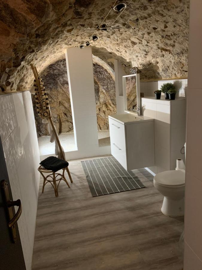 Appartement Cosy Le Balloon Avec Wifi Annonay Esterno foto
