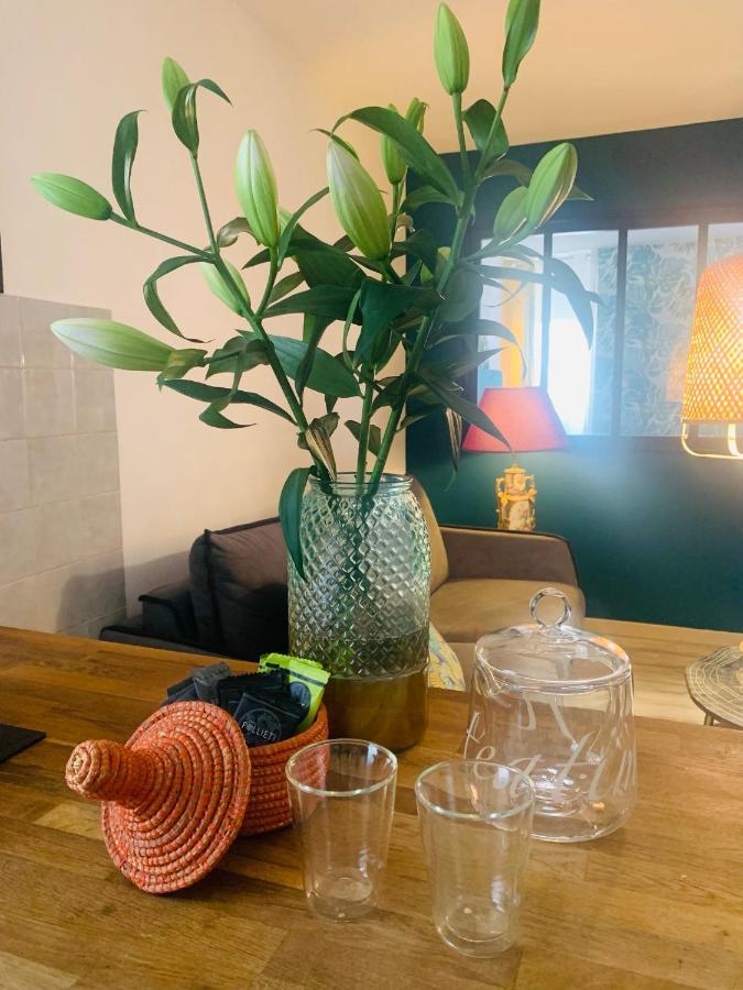 Appartement Cosy Le Balloon Avec Wifi Annonay Esterno foto